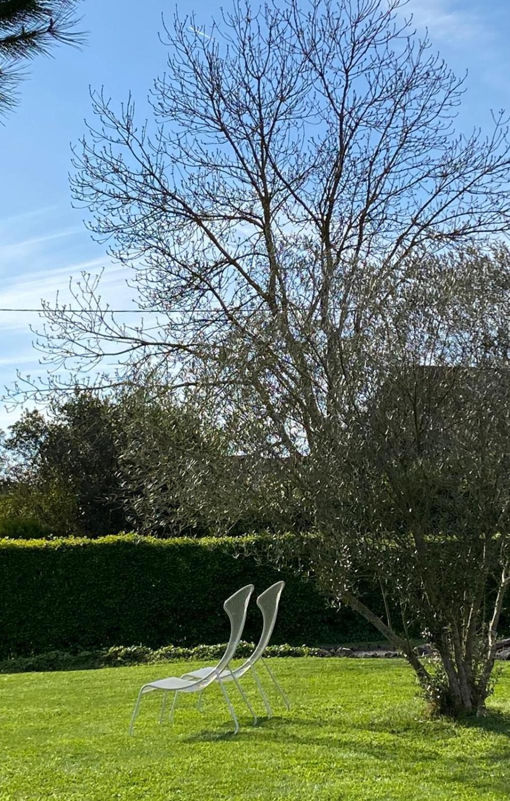 巴龙基尔住宿加早餐旅馆 Farges-les-Chalon 外观 照片