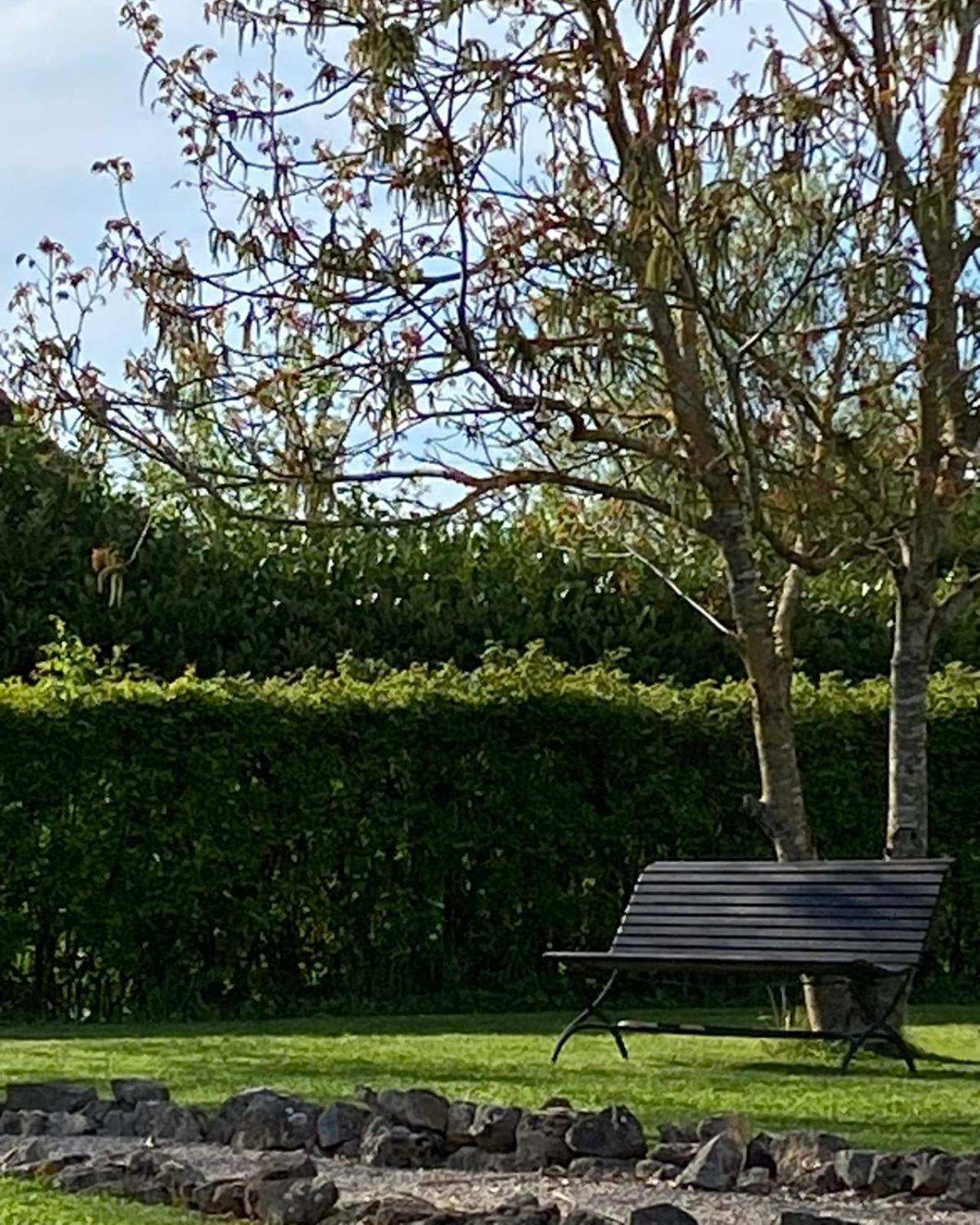巴龙基尔住宿加早餐旅馆 Farges-les-Chalon 外观 照片