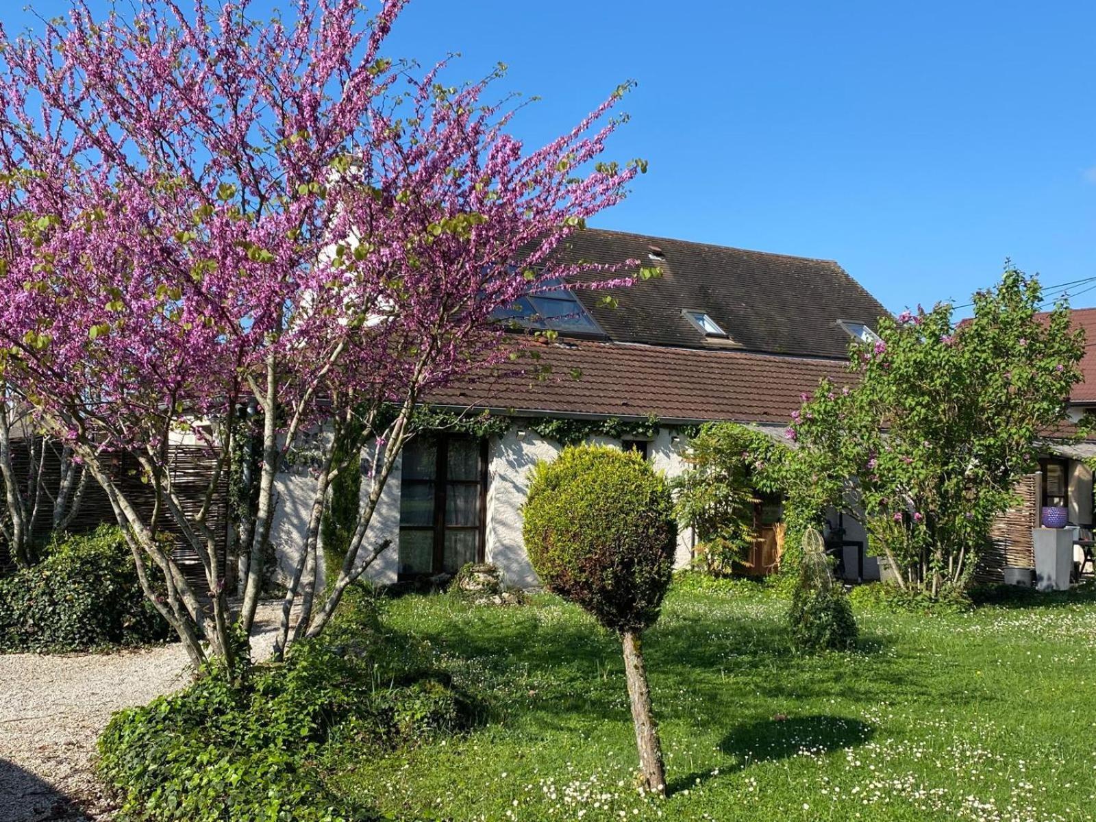巴龙基尔住宿加早餐旅馆 Farges-les-Chalon 外观 照片